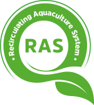 Recirculating Aquaculture System