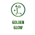 GOLDEN GLOW