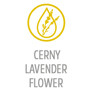 CERNY LAVENDER FLOWER