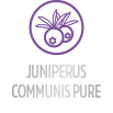 JUNIPERUS COMMUNIS PURE