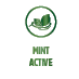 MINT ACTIVE