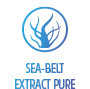 SEA-BELT EXTRACT PURE