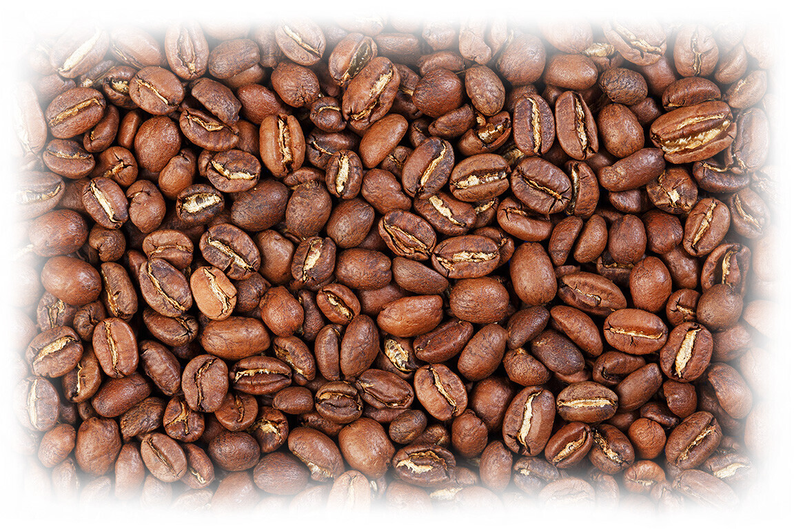 stock-photo-cappuccino-coffee-in-white-mug-with-roasted-coffee-beans-isolated-on-white-background-top-view-2444009187 stock-photo-cappuccino-coffee-in-white-mug-with-roasted-coffee-beans-isolated-on-white-background-top-view-2444009187